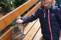Lasse_JJ_Web 012